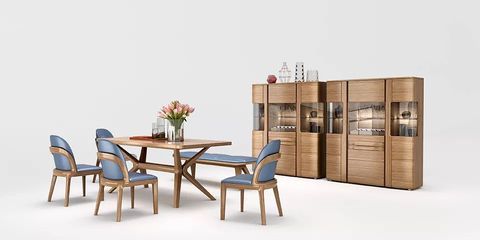 藍鳥家具董事長賈然榮獲“河北省家具行業功勛人物”榮譽稱號